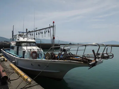 福井県西津漁港 松福丸の釣果詳細 釣果 施設情報 釣りビジョン 釣果 施設情報 釣りビジョン