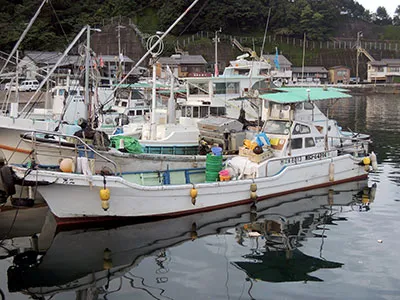 尾鷲 筏釣り ととクラブ