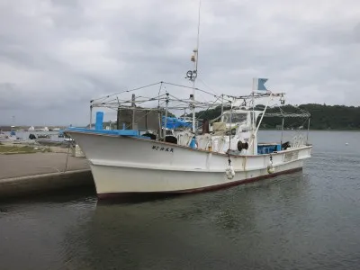 釣イカダ柳