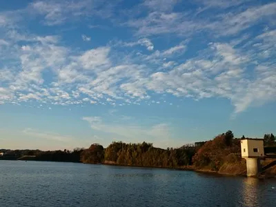 高滝ダム ワカサギ釣り情報 釣りビジョン