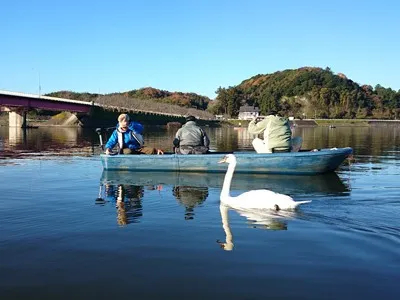 高滝ダム ワカサギ釣り情報 釣りビジョン