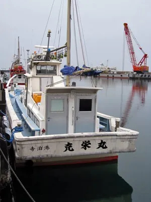 新潟県寺泊港 克栄丸の釣果詳細 釣果 施設情報 釣りビジョン 釣果 施設情報 釣りビジョン