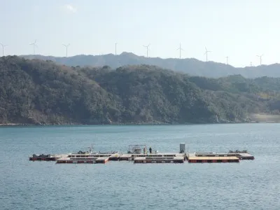 海上釣掘　湯浅