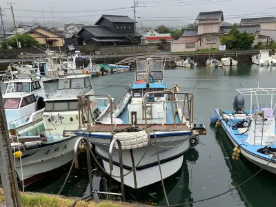 それいけ大志丸