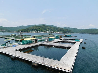 釣り堀　傳八屋