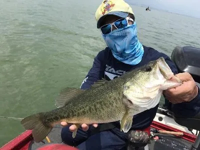 バスショップナイルの釣果詳細 釣果 施設情報 釣りビジョン