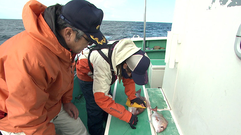 関西発！海釣り派