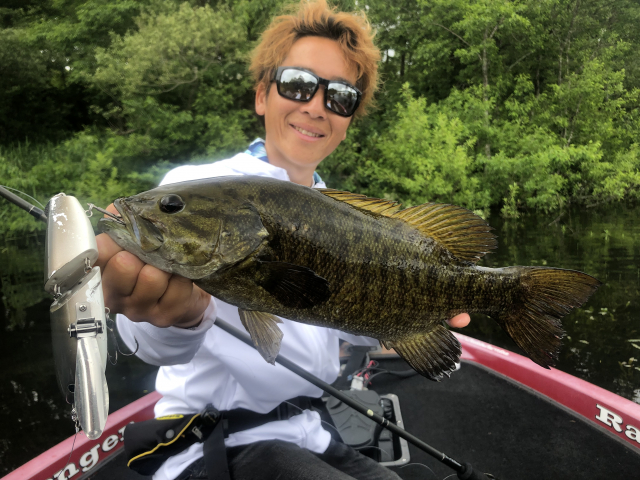 バスギャラリー 桧原湖ビッグクローラーベイト戦略 ~The ultimate style of Lake Hibara~ 5