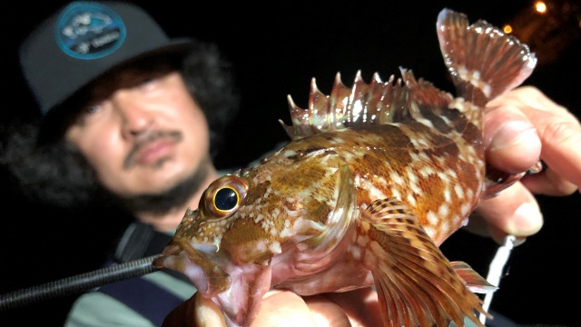 ぶらりバスの旅 TRIP22 広島の観光グルメ満喫！お手軽離島めぐりの旅！ 5
