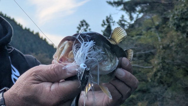 バーニング帝国 第六十八作戦 帝国始まって以来の大ピンチ！これはヒョウゴリグしか釣れんぞ！ 4