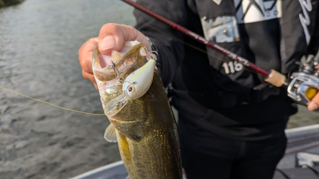 バーニング帝国 第七十作戦 しゃあないやんだって釣れちゃうんだもん！in 青野ダム 4