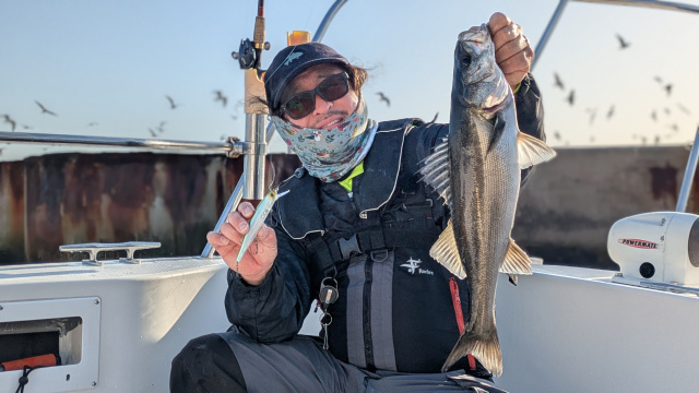 ぶらりバスの旅 TRIP55 エモーショナルストーリー東京・神奈川 思い出巡り旅 5