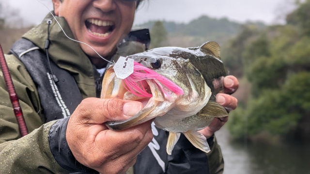 バーニング帝国 第七十四作戦 三島湖攻略！これがプリスポーンの釣り方！ 5