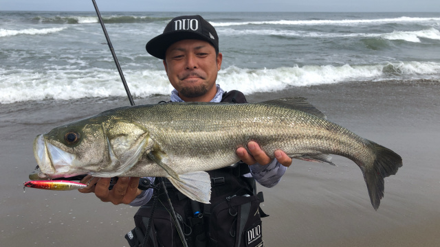 ヒラメイト 第26局 高水温期のサーフはオフシーズン？夏でも釣りしてみたら何かが起こる説 5