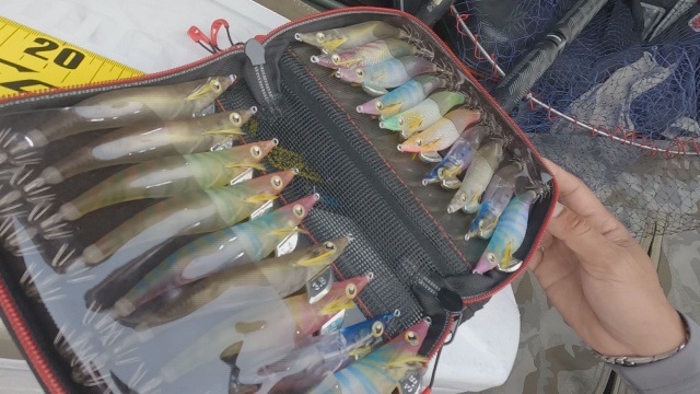 SALT X 26 伊豆半島の春イカ!エギングで大型個体を狙う 4
