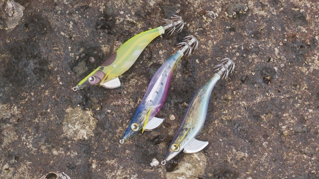 SALT X 26 伊豆半島の春イカ!エギングで大型個体を狙う 4