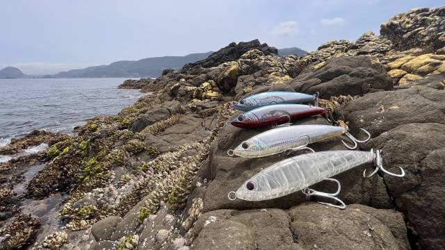 メタルバスター ROUND30 VS新潟県佐渡島のヒラマサ 5