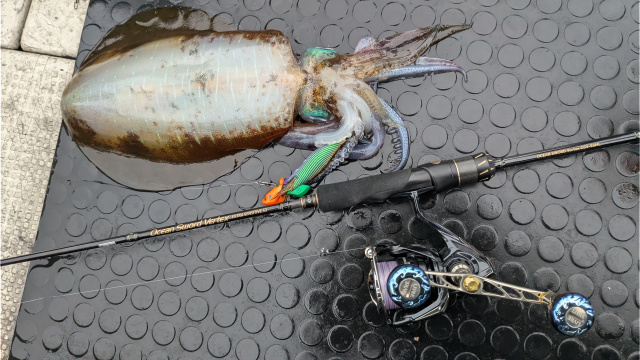 とことんエギパラダイス 169 三重県伊勢志摩の旅 気分上々！？ティップラン！！ 9