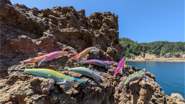 とことんエギパラダイス 173 島根県出雲の旅 デカイカが集う地にリベンジ達成！？ 5