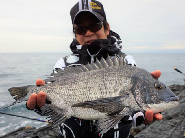 楽釣楽磯宣言 44「兵庫県沼島エリア 寒グレ・寒チヌ楽釣宣言！？」 8