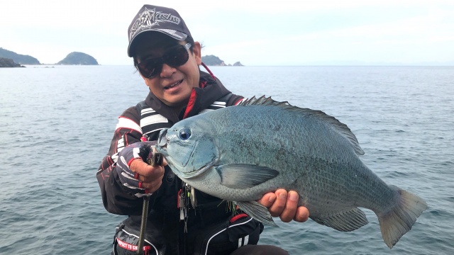 楽釣楽磯宣言 68 愛媛県日振島エリア 秋の磯釣り堪能宣言！ 8