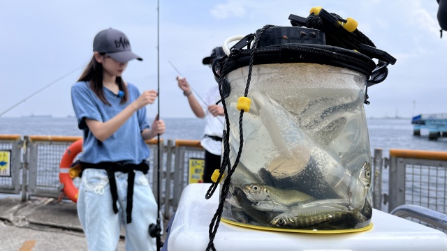 釣って関東！ 9 夏の海釣り公園で釣りをしてみよう 6