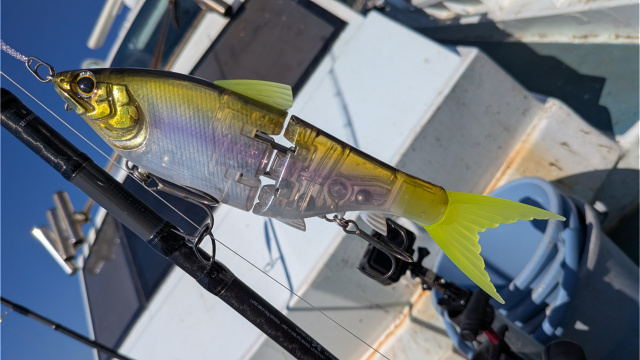 フリースタイルフィッシャーズ 4 鹿児島／オフショアビッグベイトゲーム 4