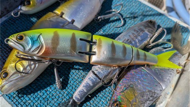 フリースタイルフィッシャーズ 4 鹿児島／オフショアビッグベイトゲーム 4