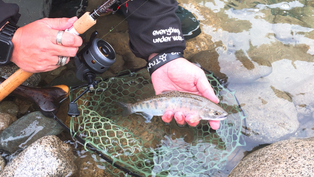 トラウトギャラリー 道具と愉しむ鱒釣旅 新潟県魚野川水系 6