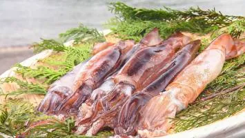 【超絶品】スルメイカを”最高に美味しく”食べる！魚の伝道師”ウエカツ”のとっておきを紹介