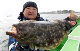 千葉県・大原沖の“寒ビラメ”、肉厚良型が絶好釣！！