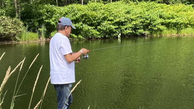 エリアトラベラーズ