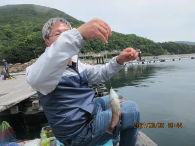 由良海つり公園&釣堀ランドの2021年6月2日(水)1枚目の写真