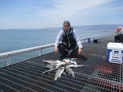 尼崎市立魚つり公園の2024年4月12日(金)1枚目の写真