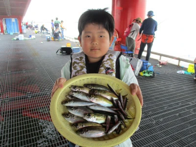 尼崎市立魚つり公園の2024年5月12日(日)1枚目の写真