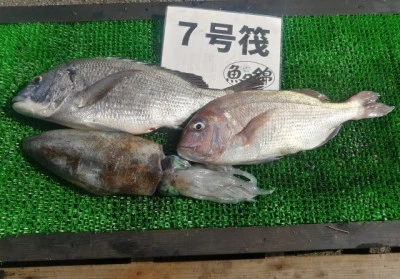 三重外湾漁協 錦事業所直営 釣り筏の2024年5月3日(金)3枚目の写真